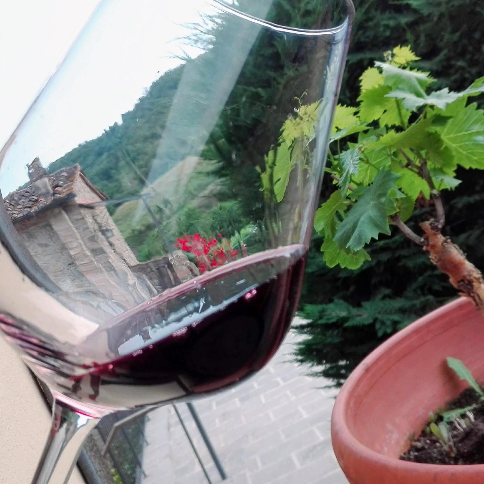 Villa Buonasera Agriturismo Greve in Chianti Bagian luar foto