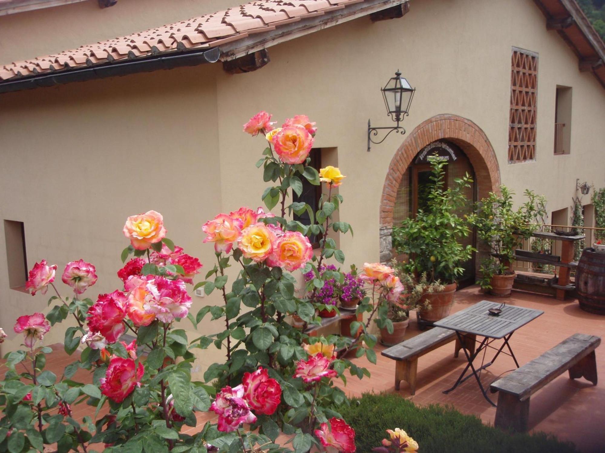 Villa Buonasera Agriturismo Greve in Chianti Bagian luar foto