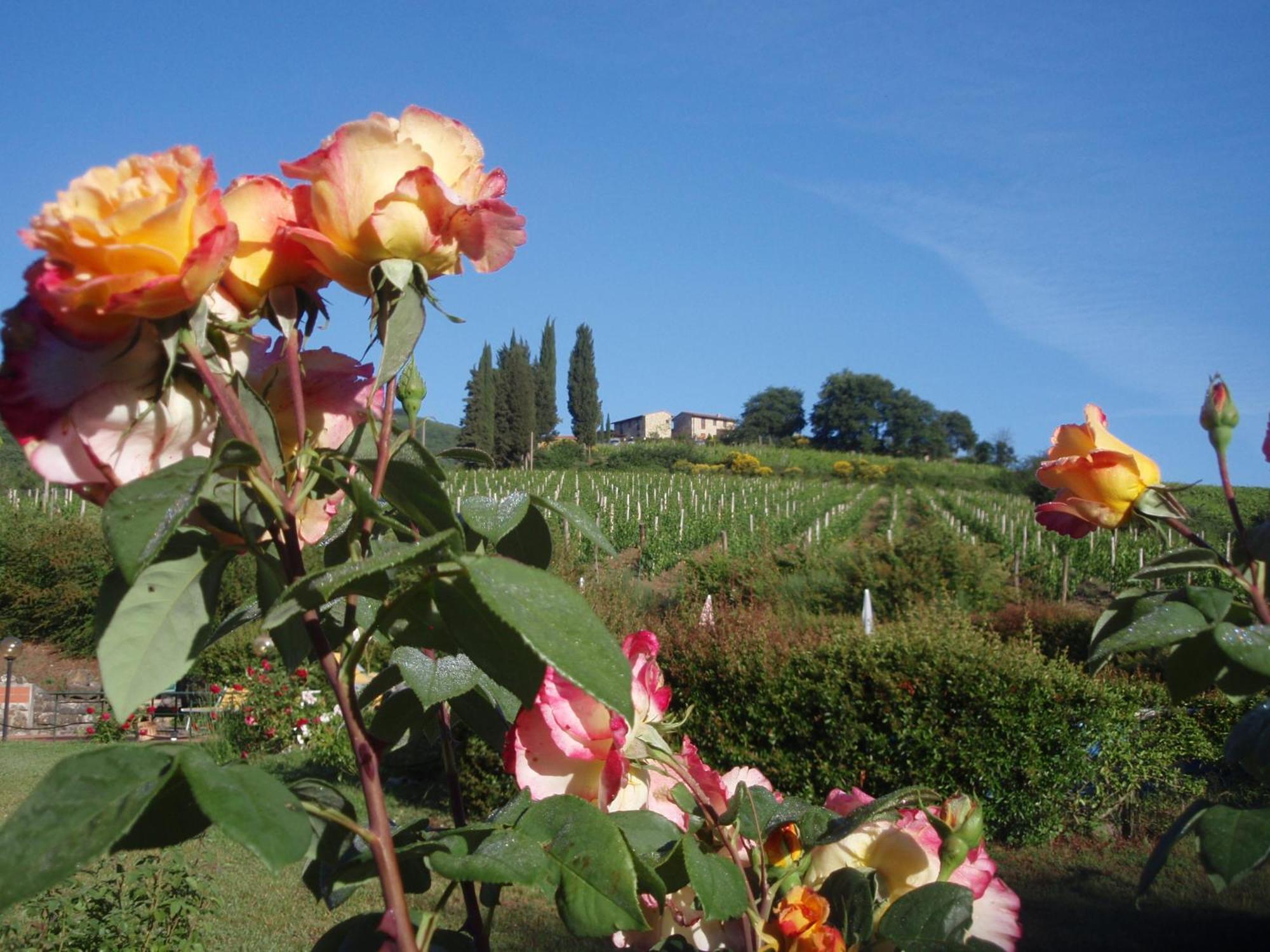 Villa Buonasera Agriturismo Greve in Chianti Bagian luar foto