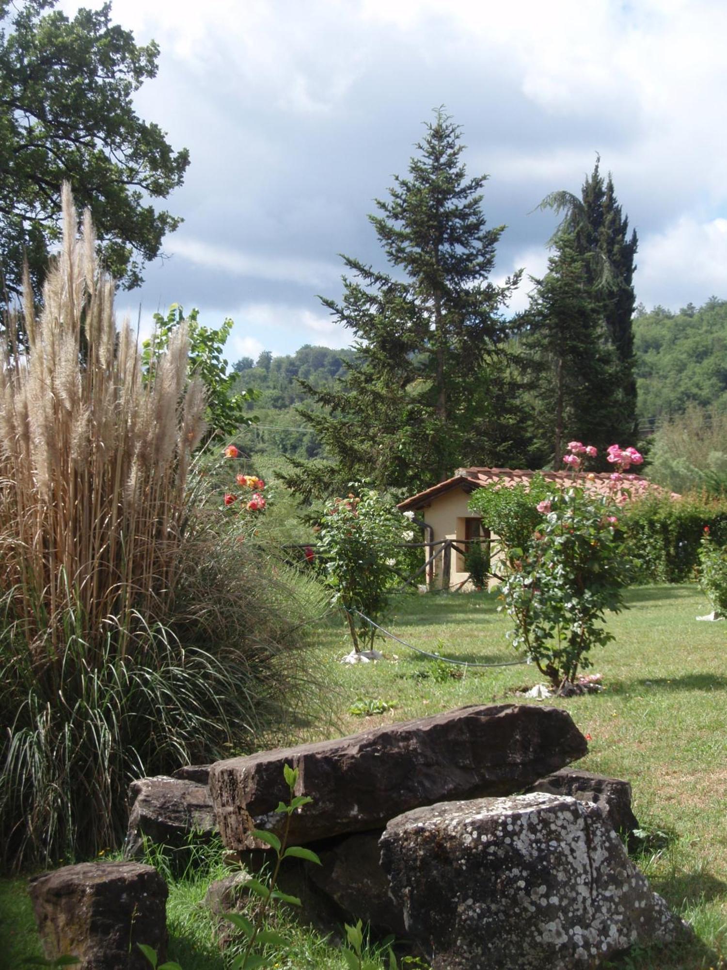 Villa Buonasera Agriturismo Greve in Chianti Bagian luar foto