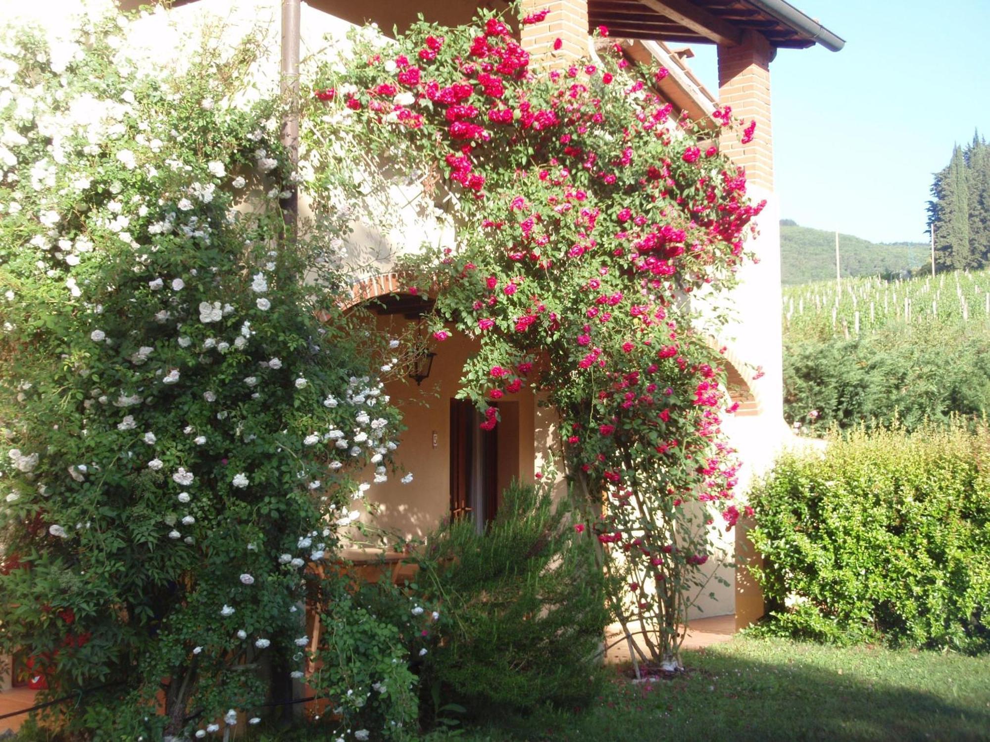 Villa Buonasera Agriturismo Greve in Chianti Bagian luar foto