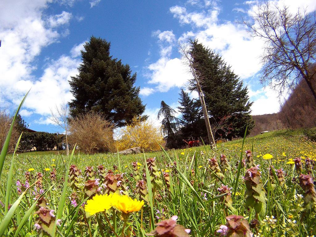 Villa Buonasera Agriturismo Greve in Chianti Bagian luar foto