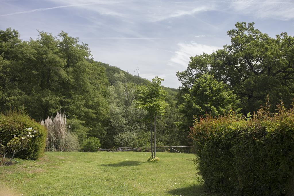Villa Buonasera Agriturismo Greve in Chianti Bagian luar foto