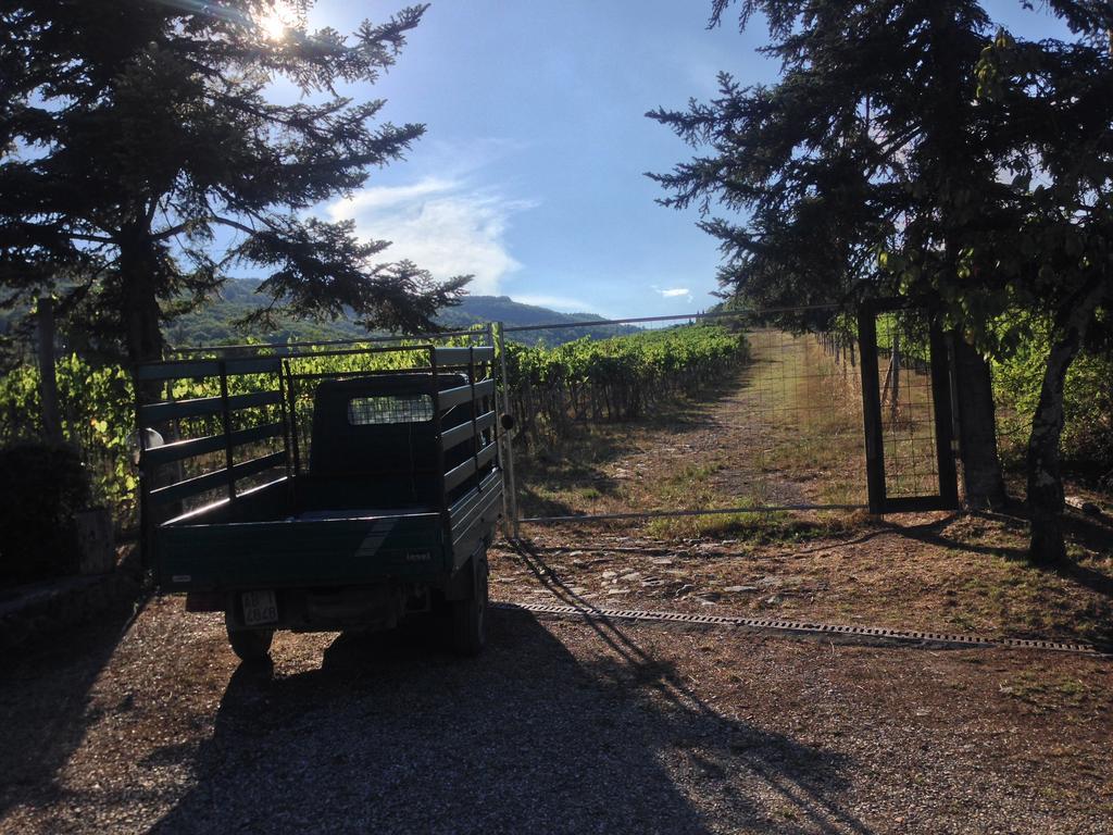 Villa Buonasera Agriturismo Greve in Chianti Bagian luar foto